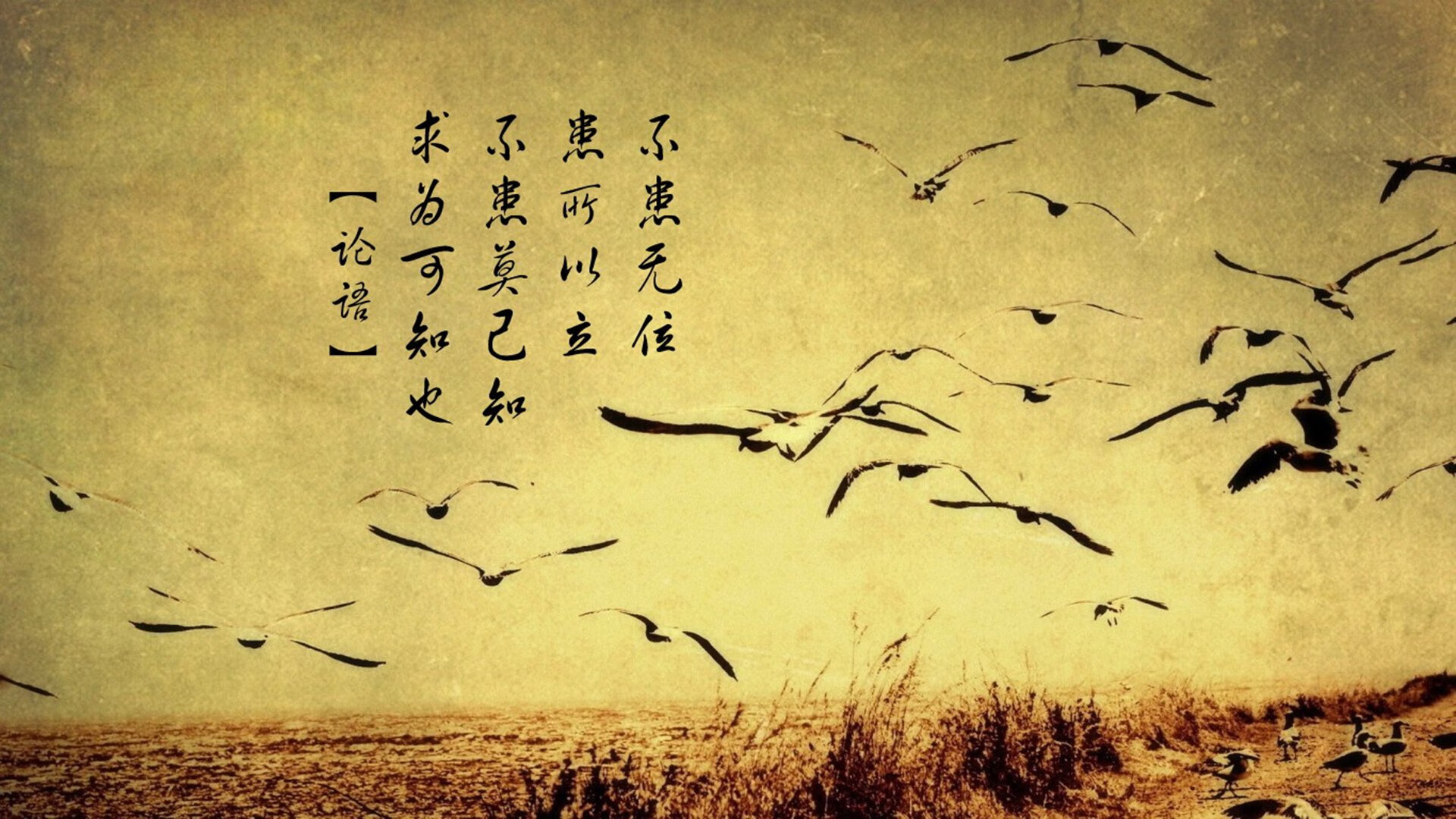 AIYOUXI.COM-全国青少年“篮球明星孵化计划”正式启动，全面提升青训水平，ybdl青少年篮球发展联盟创始人