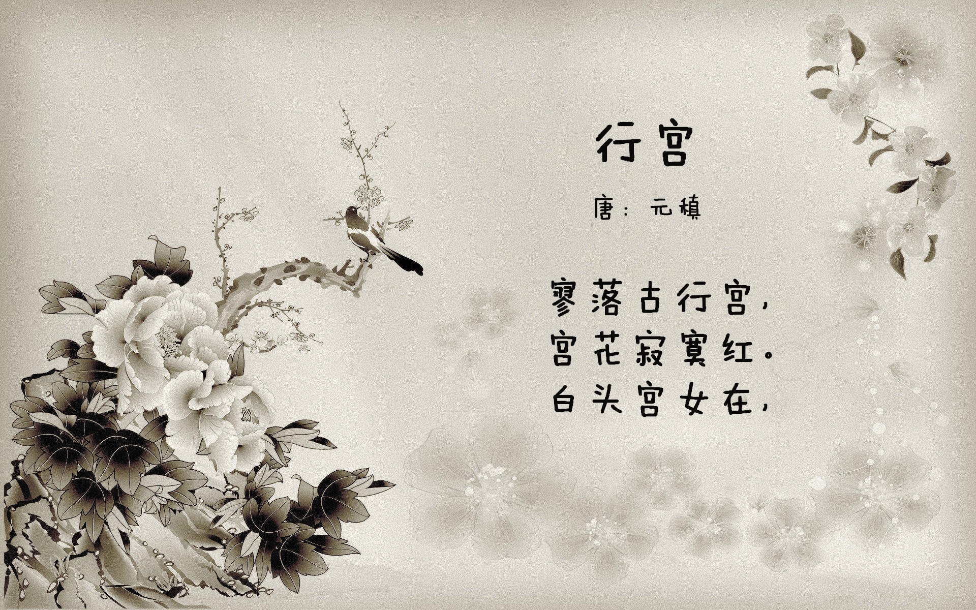 青训“智慧教练”平台在多地试点，推动青少年技能提升，智慧训练考核
