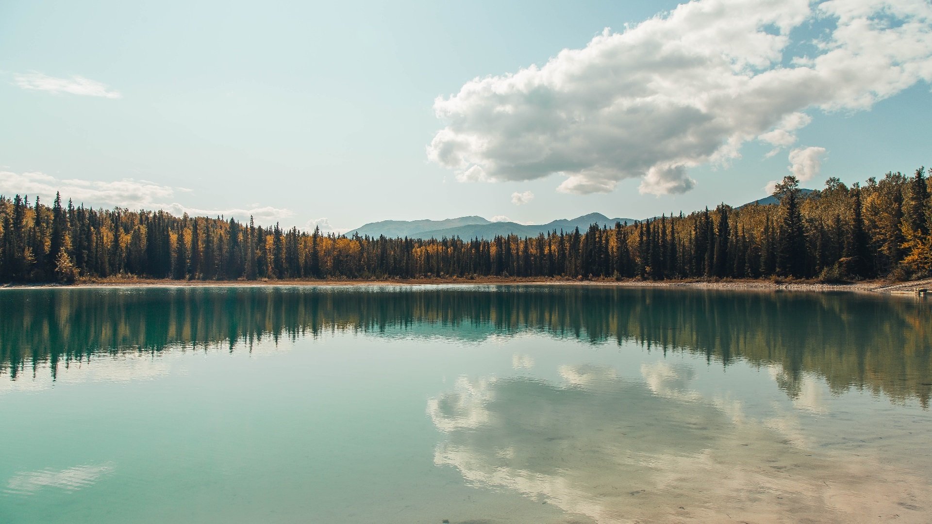 T1赛事奖金持续增长,t1拿过冠军吗