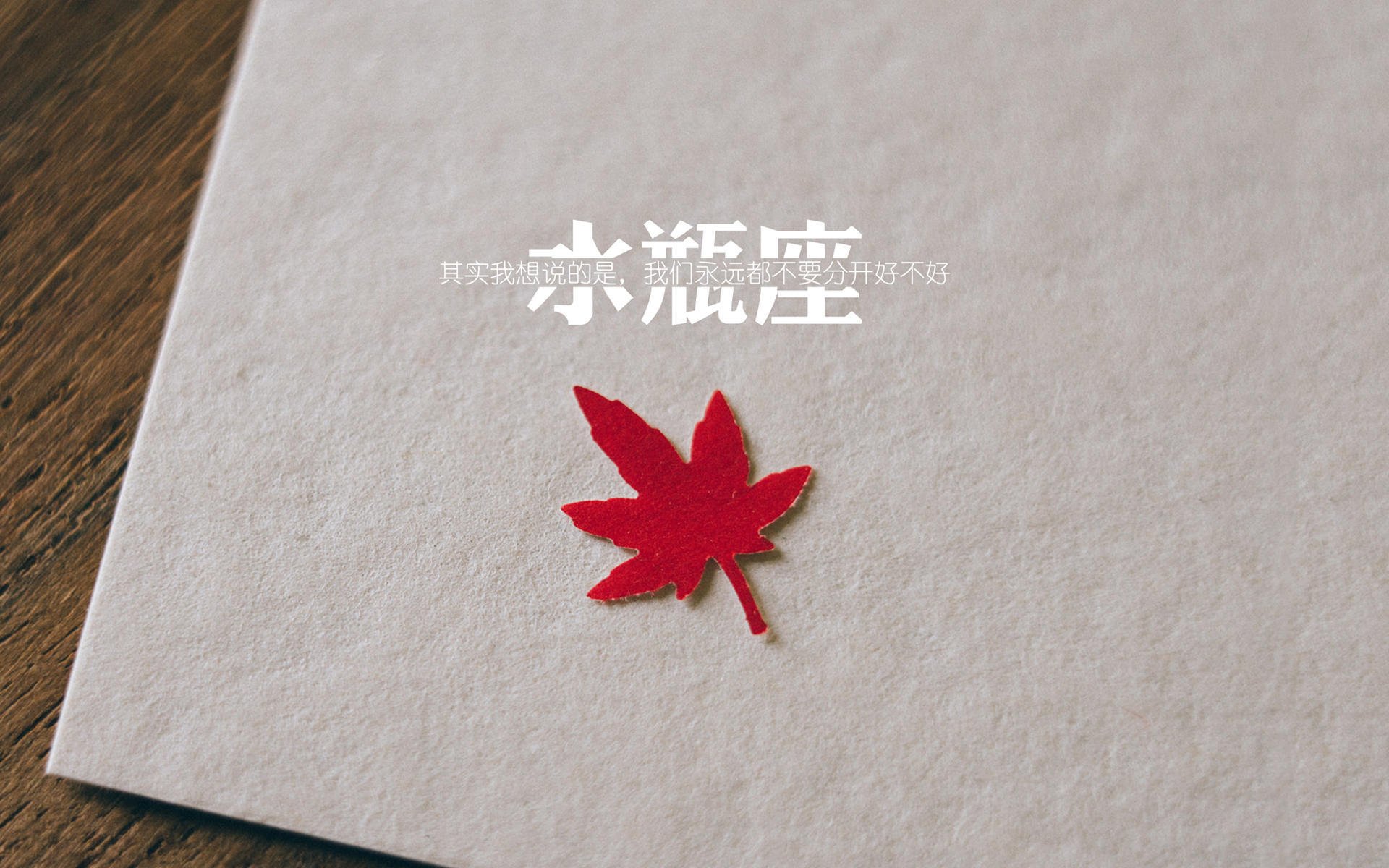 克罗地亚马术协会设立马匹福利基金，支持马匹退休生活。，克罗地亚马米奇