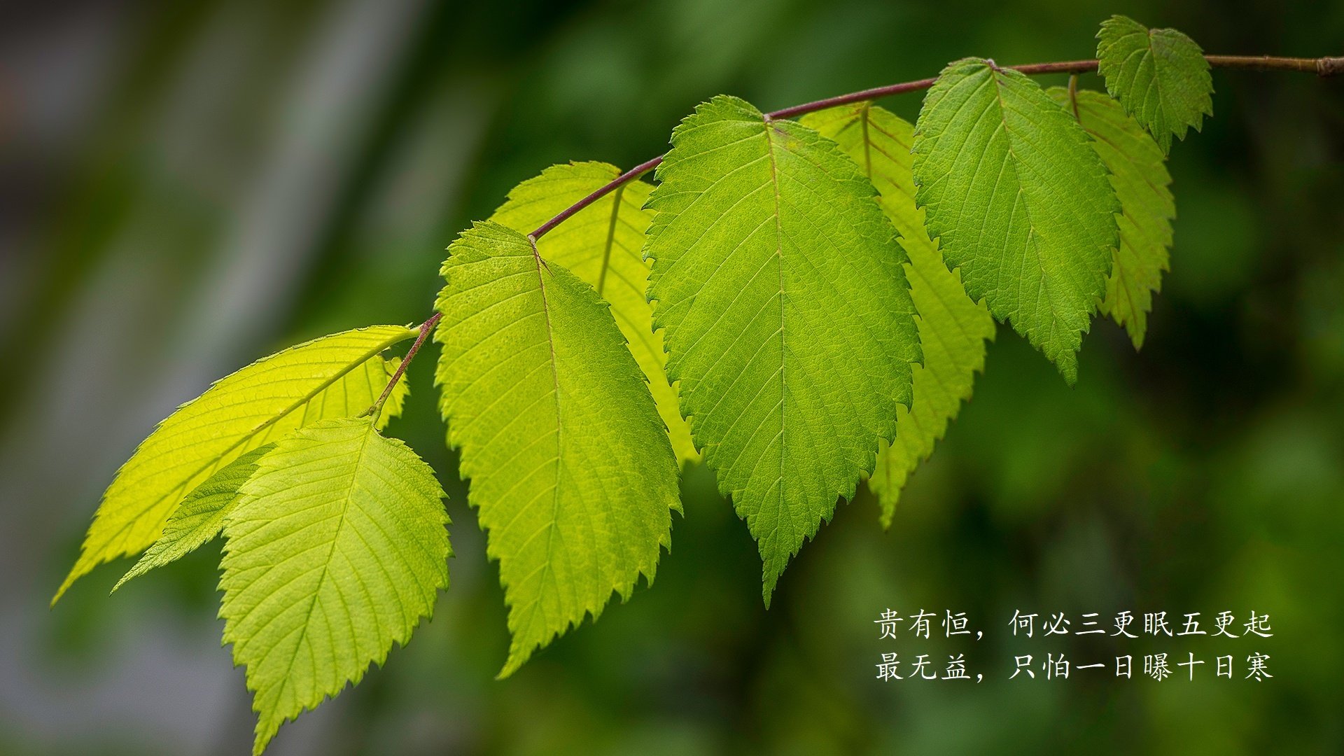 爱游戏体育app-切尔西女足签约多名青年才俊，切尔西女足欧冠