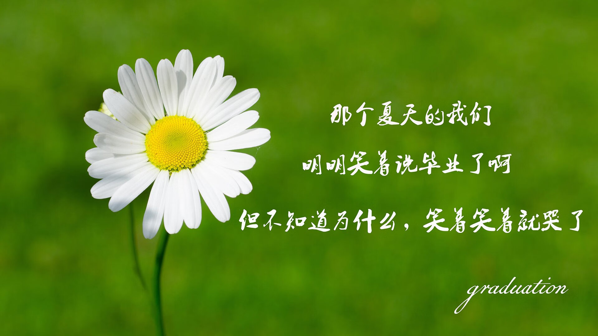 罗马是否能依靠穆里尼奥实现联赛突破，罗马队穆里尼奥最新新闻