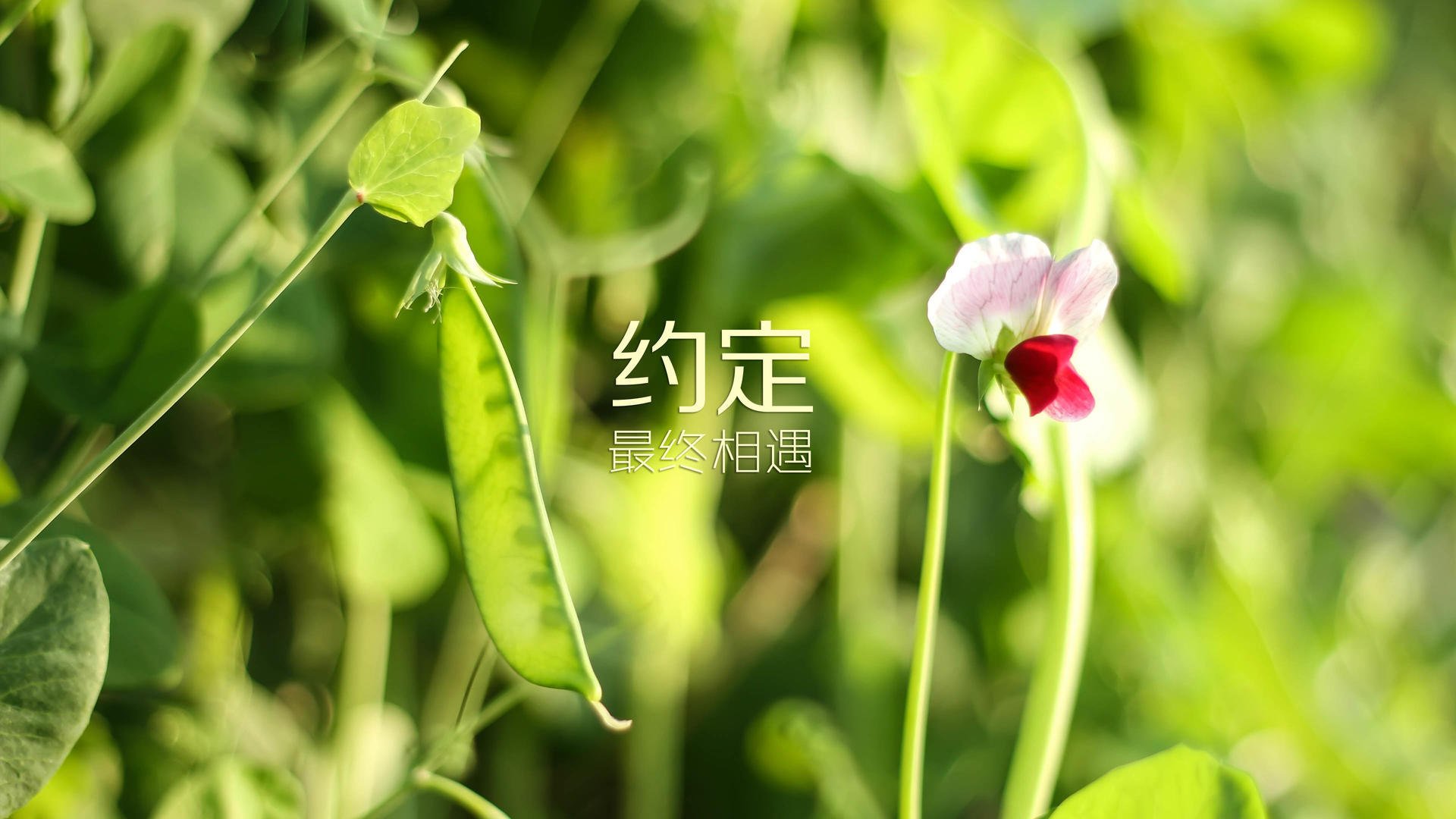 博卡进攻停留在外围，缺少深入打击，博卡啥意思