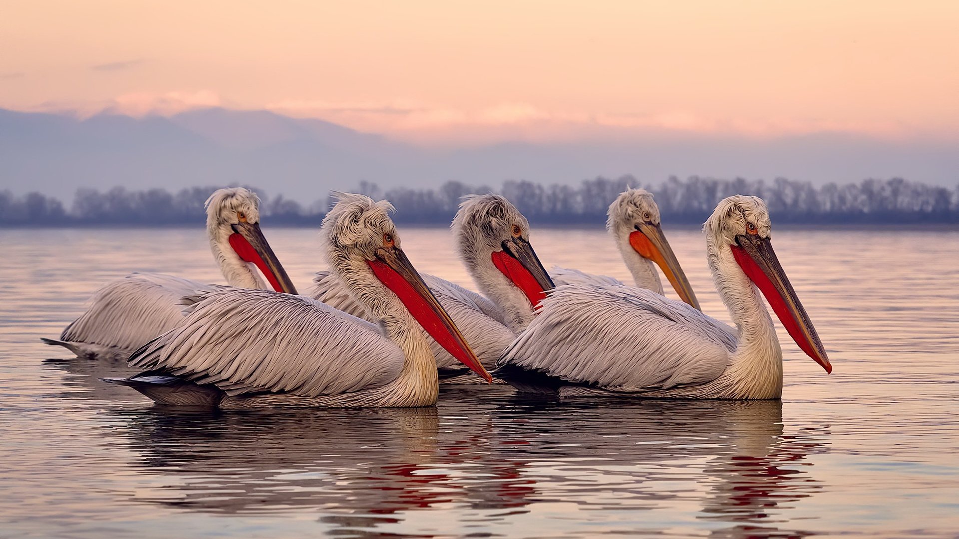 阵型轮换创造出奇制胜机会,阵型变换