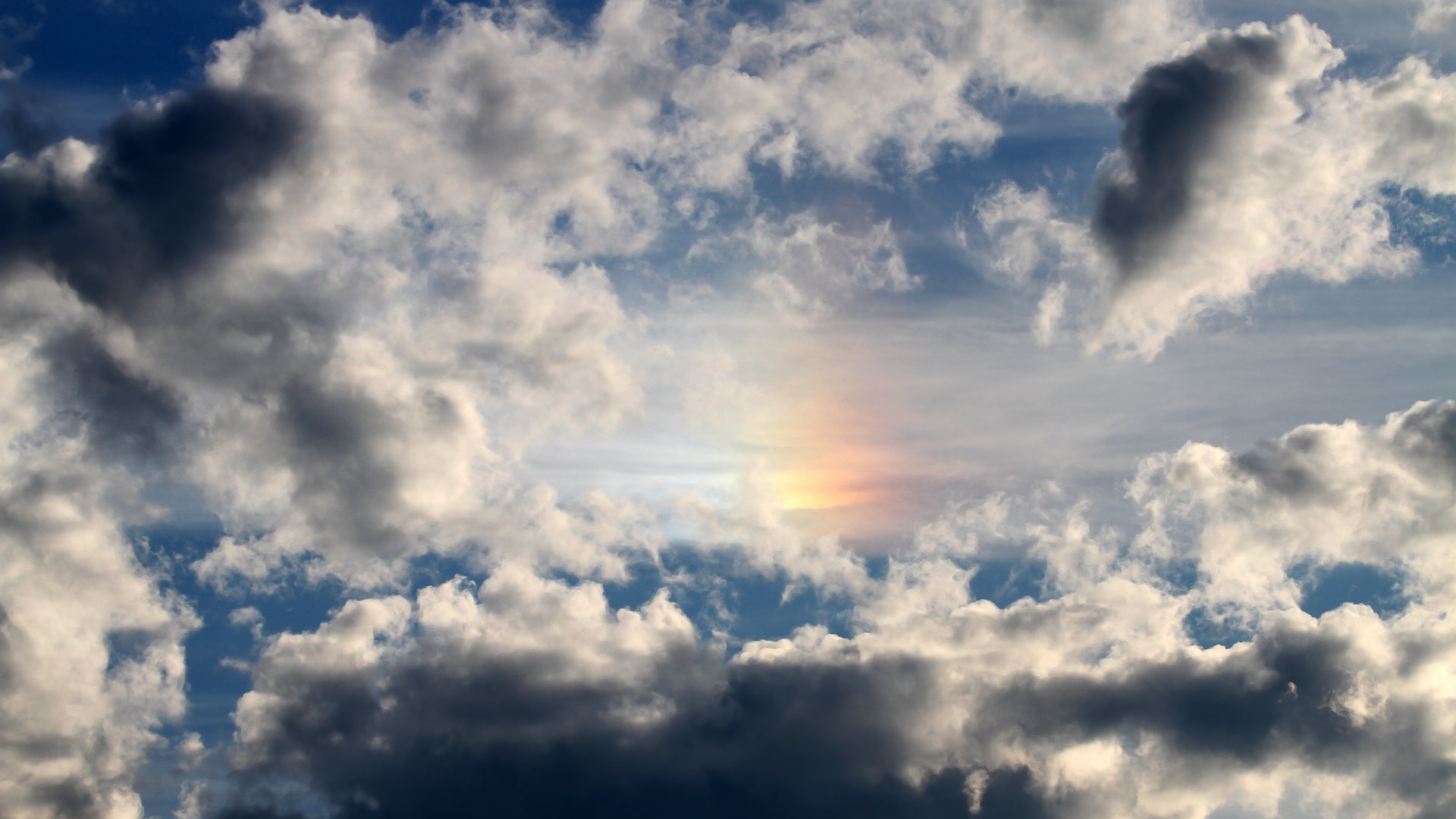 中国组合稳步提升成绩赢得认可,中国组合团队