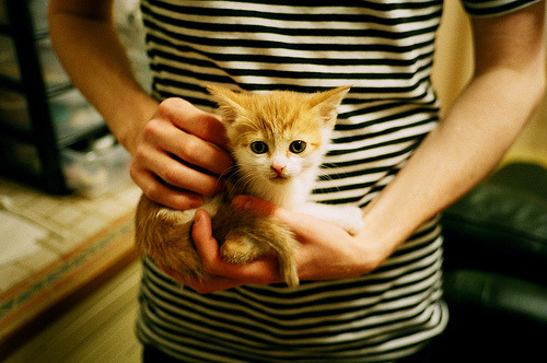 乌拉圭国家队积极备战,目标再创佳绩