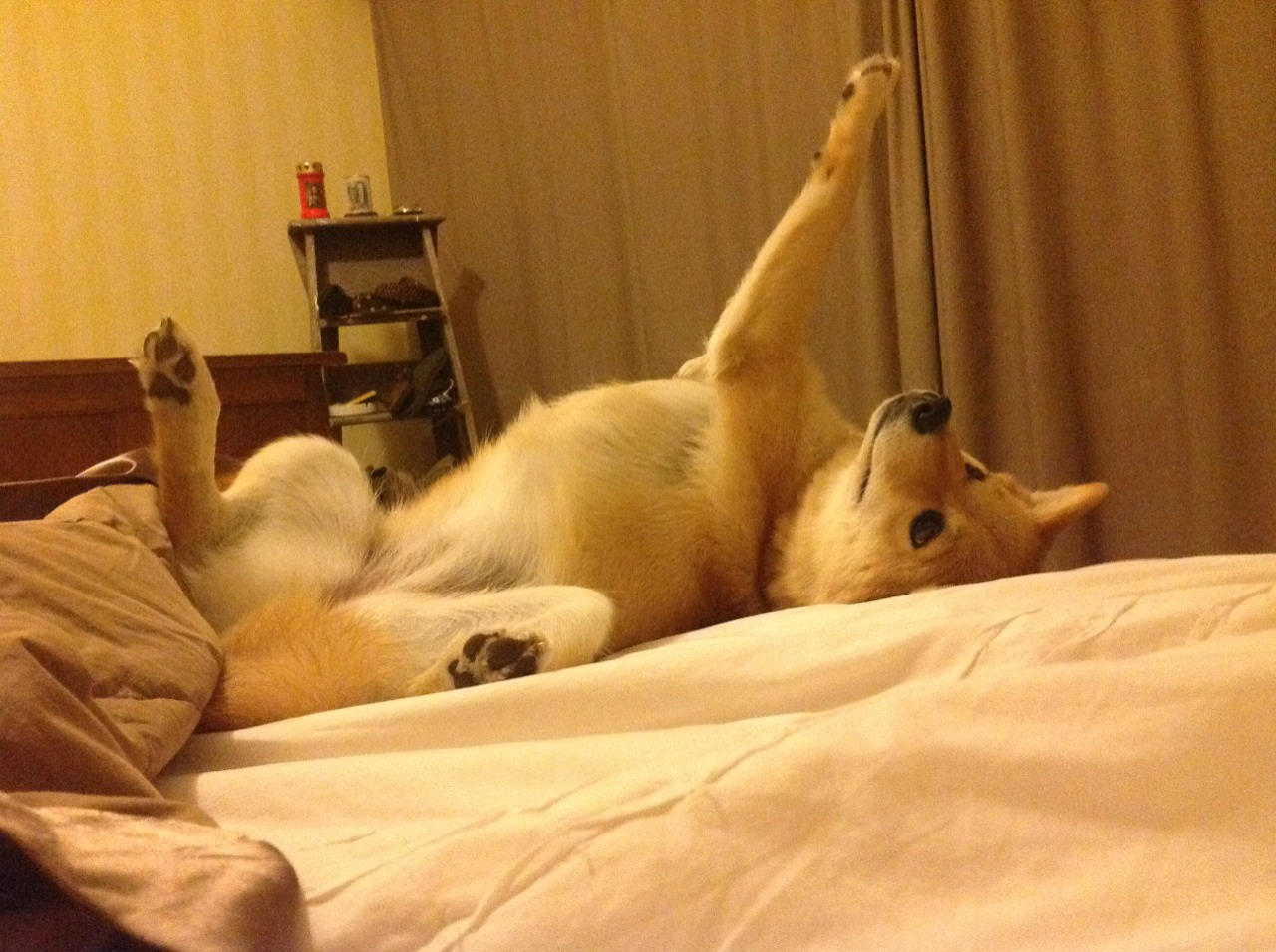 爱游戏体育官方网站-乌干达女篮在非洲锦标赛中奋勇崛起，期待佳绩不断刷新，乌干达篮球比赛