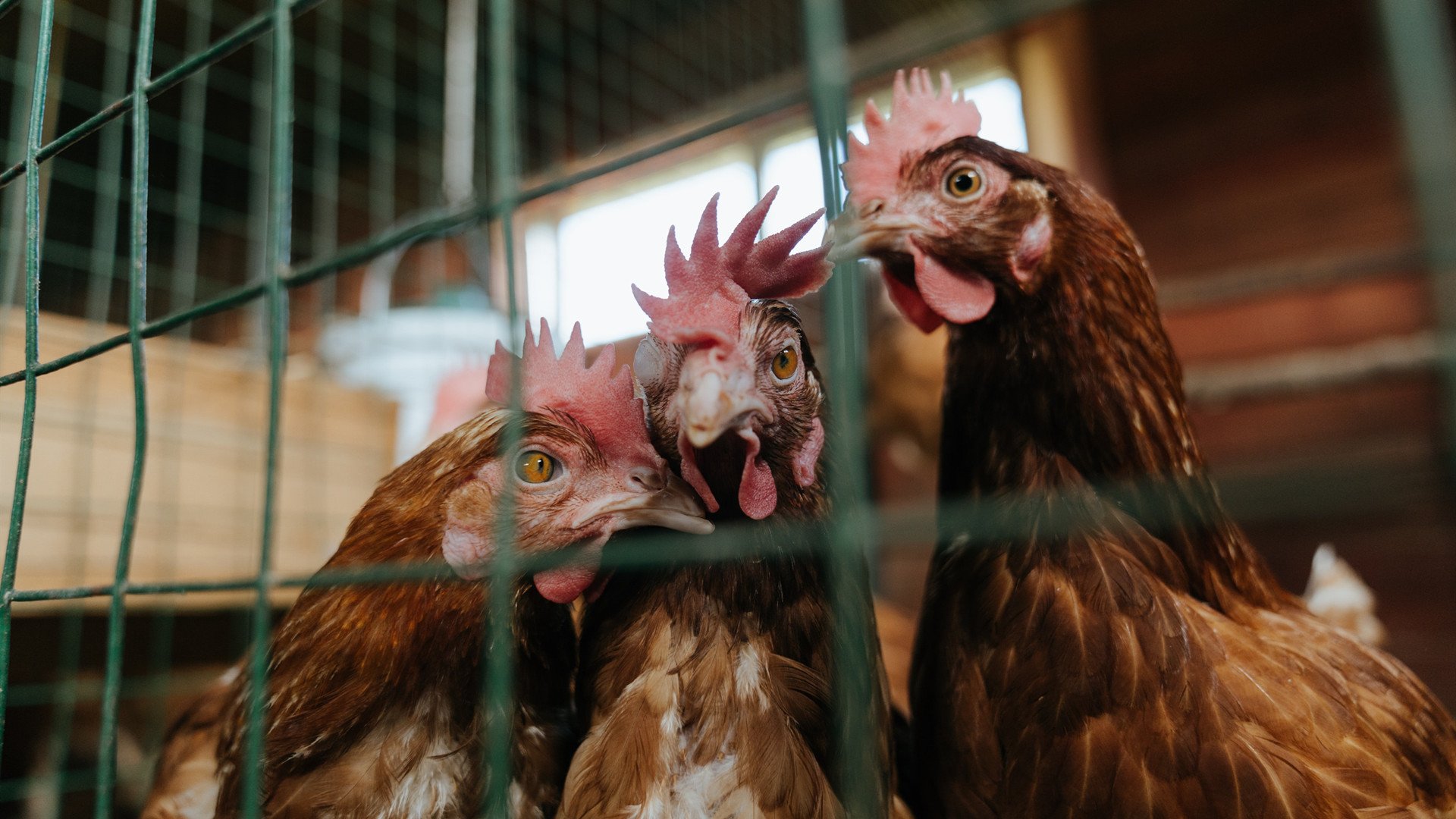 爱游戏在线娱乐官网-水球攻防转换中立代表队A节奏明快，水球犯规区