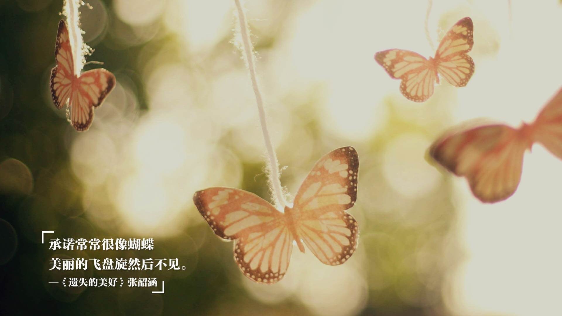 维尔·冯·威克:南非队的动力源泉,强力进攻制造得分机会,温·维尔冯