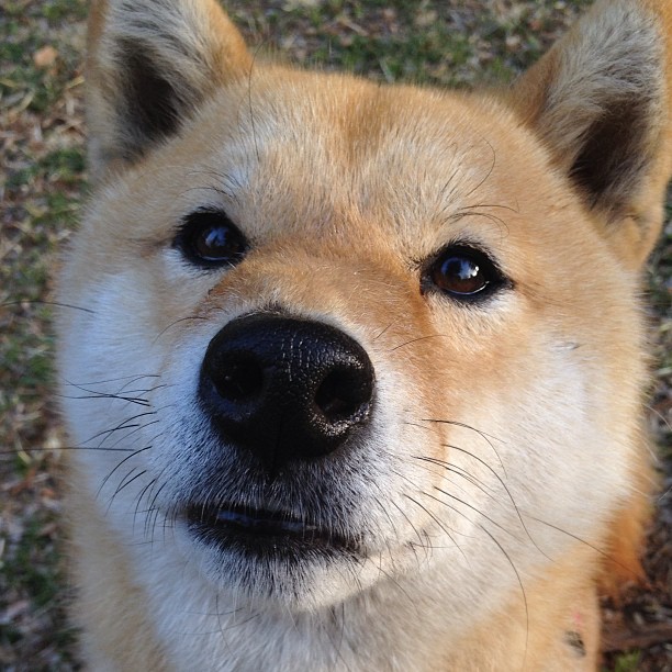 爱游戏体育（AYX）官方APP下载-足球行业数字经济快速发展，各类创新项目不断涌现，足球产业发展