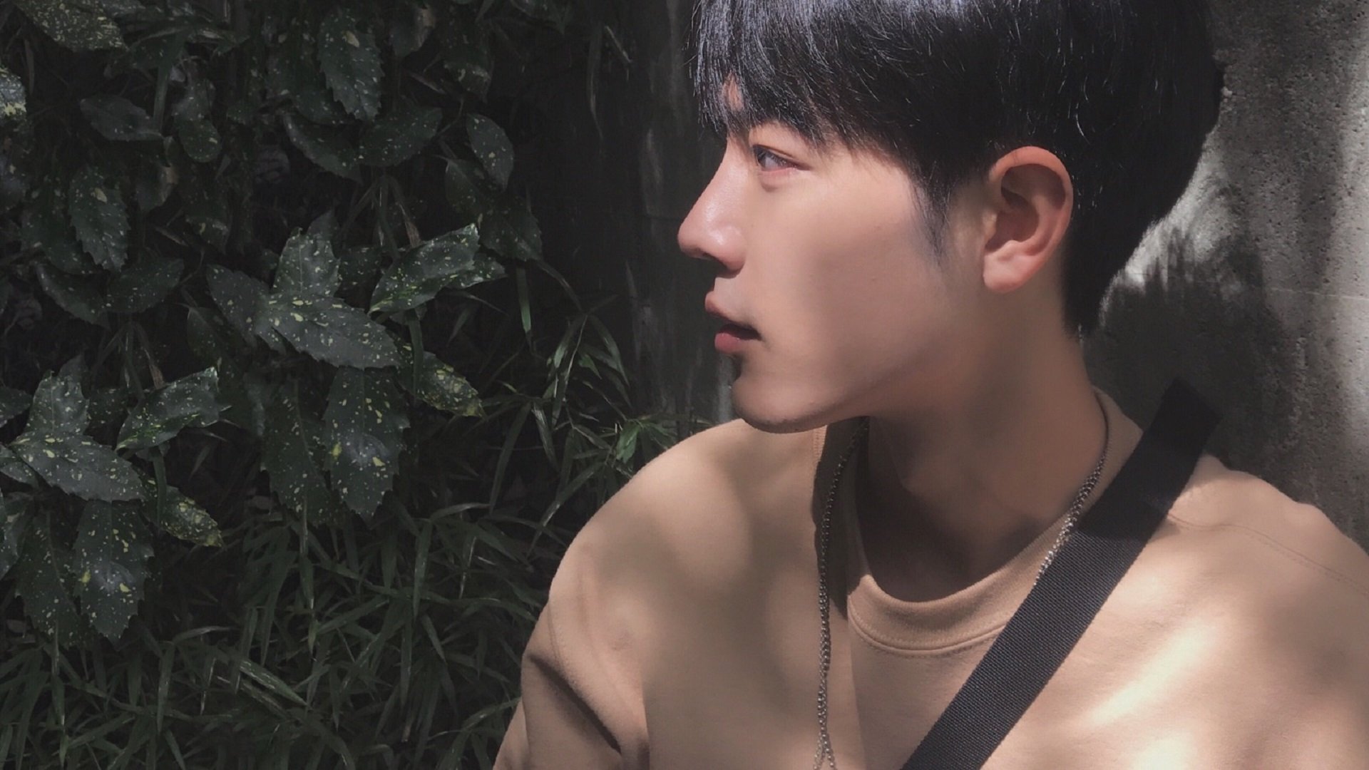 跳水动作精准比利时稳步晋级,比利时跳水运动员