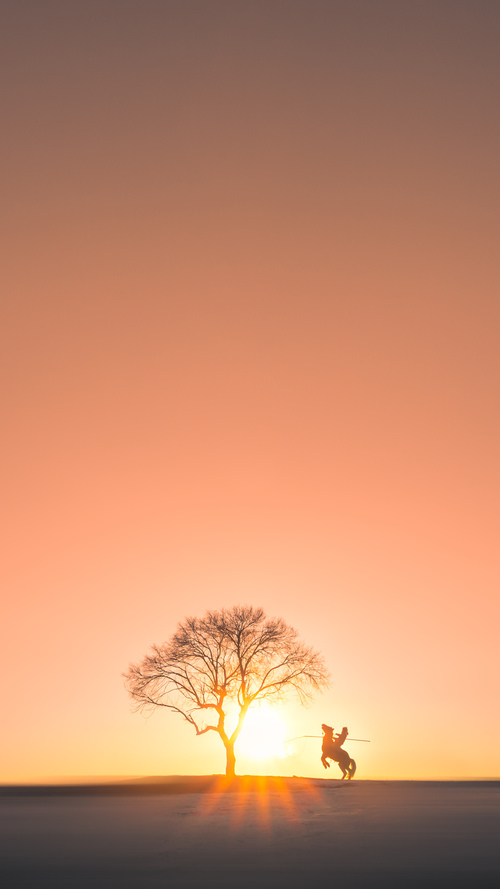 阿森纳青训系统再获肯定,发掘出未来天才